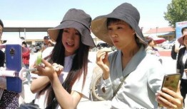 网红吃瓜人名字大全,揭秘网络红人的独特命名艺术