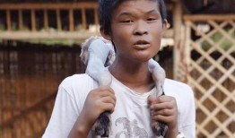 小马云爆料哥哥视频是真的吗,小马云爆料哥哥视频真实性揭秘